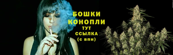 прущий лед Белокуриха