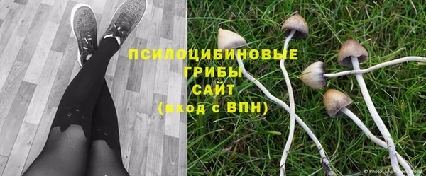 дмт Белоозёрский