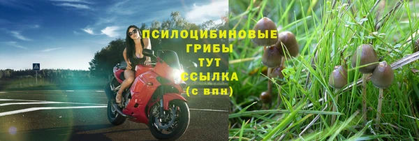 прущий лед Белокуриха