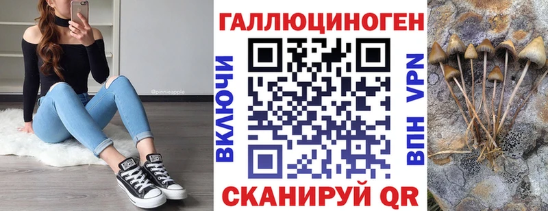 Галлюциногенные грибы Cubensis  Бокситогорск 